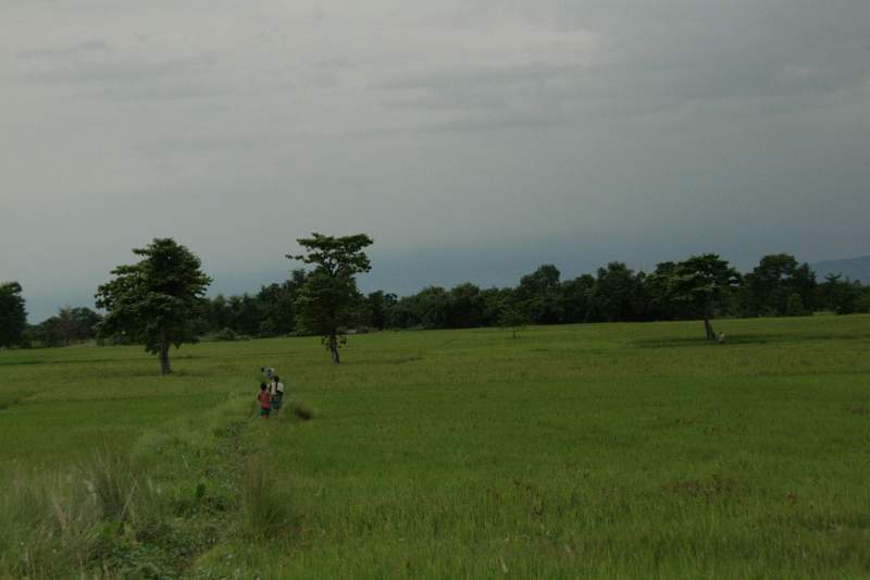 India & Nepal 2011 - 0628